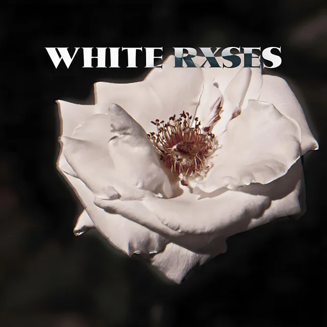 WHITE RXSES