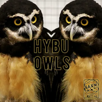 Owls EP by Hybu