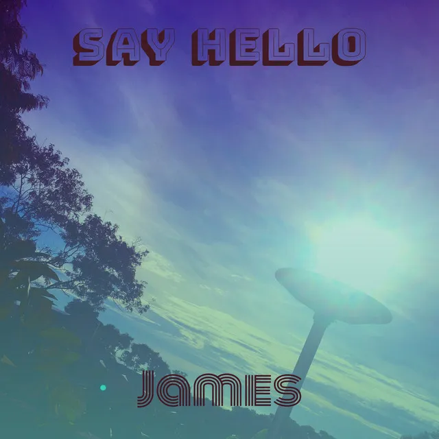 Say Hello