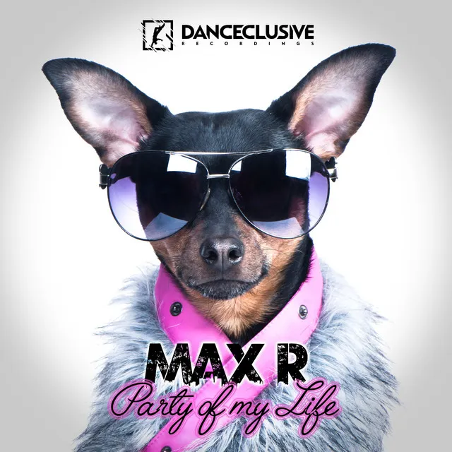 Party of My Life - Voggi & Baseto Remix Edit