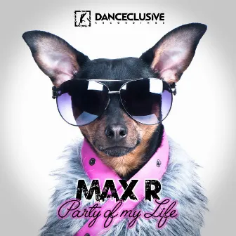 Party of My Life by Max R.