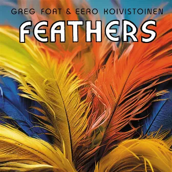 Feathers by Eero Koivistoinen