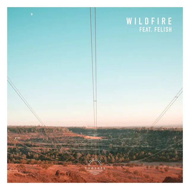 Wildfire