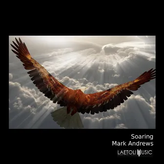 Soaring by Mark Andrews