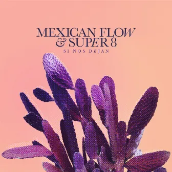 Si Nos Dejan by Mexican Flow