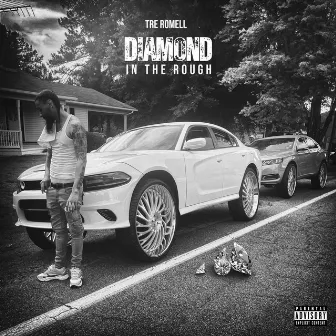 Diamond In The Rough by Tre Romell