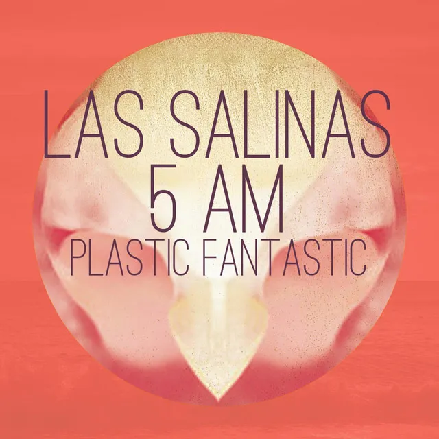 Las Salinas 5 AM - Coyote Sunrise Remix