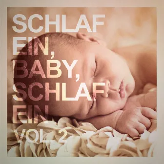 Schlaf ein, Baby, schlaf ein, Vol. 2 by Baby Musik