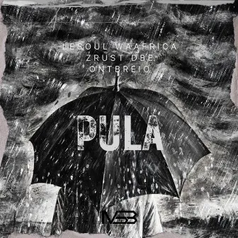 Pula by LeSoul WaAfrica