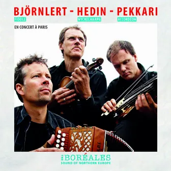 Live Concert In Paris by Johan Hedin