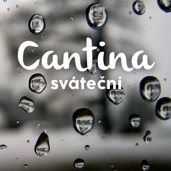 Svatecni by Cantina