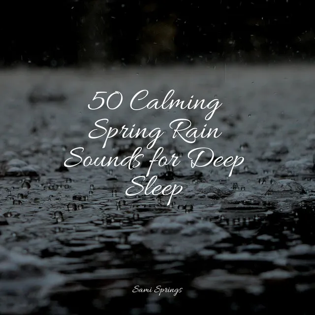 50 Calming Spring Rain Sounds for Deep Sleep