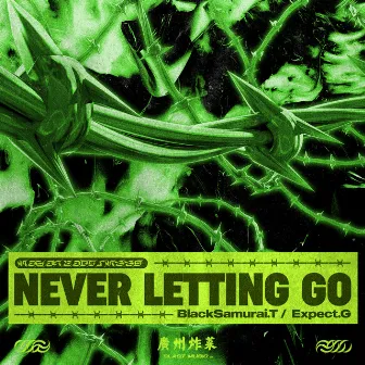 NeverLettingGo by BlackSamurai.T