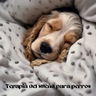 Terapia del sueño para perros: Ayude a su cachorro a dormir by Música para Perros!