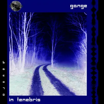 In Tenebris by Gange