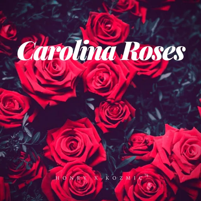 Carolina Roses