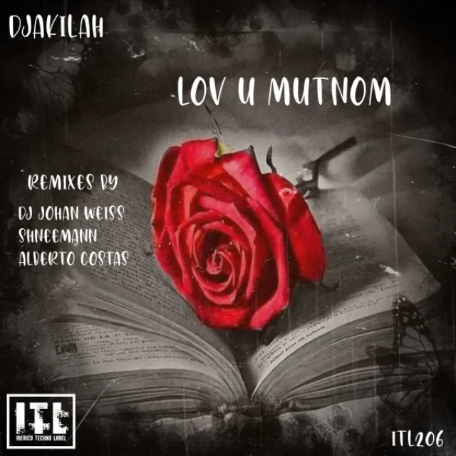 Lov U Mutnom - Alberto costas Remix