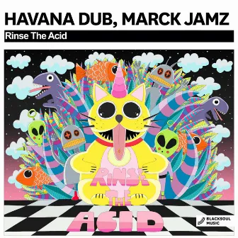 Rinse The Acid by Havana Dub