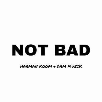 Not Bad by Dam Muzik