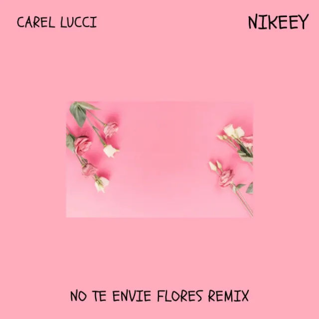 No Te Envie Flores - Remix