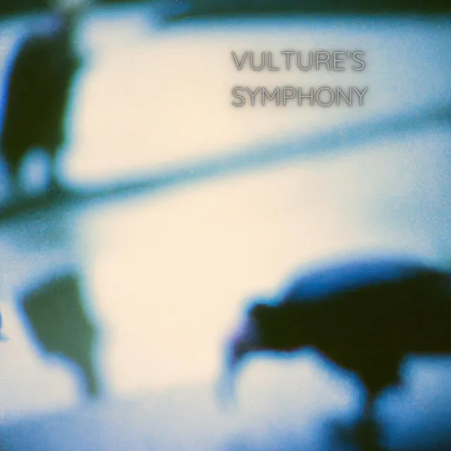 Vulture's Symphony