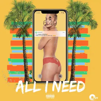 All I Need by TAM Records