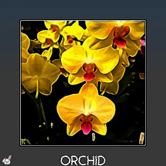 Orchid by Wabbit