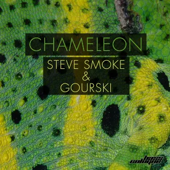 Chameleon by Steve Smoke