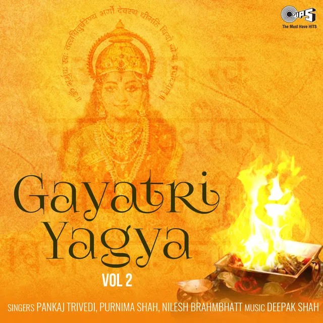 Gayatri Yagya, Pt. 2