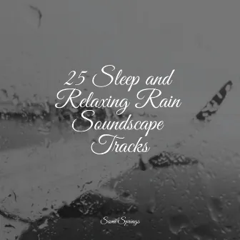 25 Sleep and Relaxing Rain Soundscape Tracks by Exam Study Classical Music