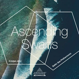 Ascending Swans (dedicated to Denis Yakovlev) by Baltic Sea Philharmonic