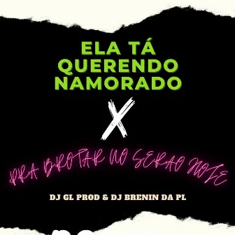 ELA TA QUERENDO NAMORADO X PRA BROTA NO SERRÃO HOJ by DJ GL PROD