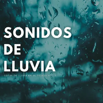 Sonidos De Lluvia: Gotas De Lluvia En El Tejado Vol. 1 by El colectivo de la selva tropical