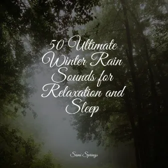 50 Ultimate Winter Rain Sounds for Relaxation and Sleep by Deep Sleep Brown Noise