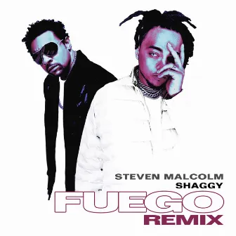 Fuego (Remix) by Steven Malcolm