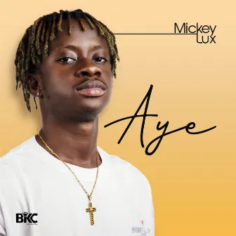 Aye by Mickey Lux