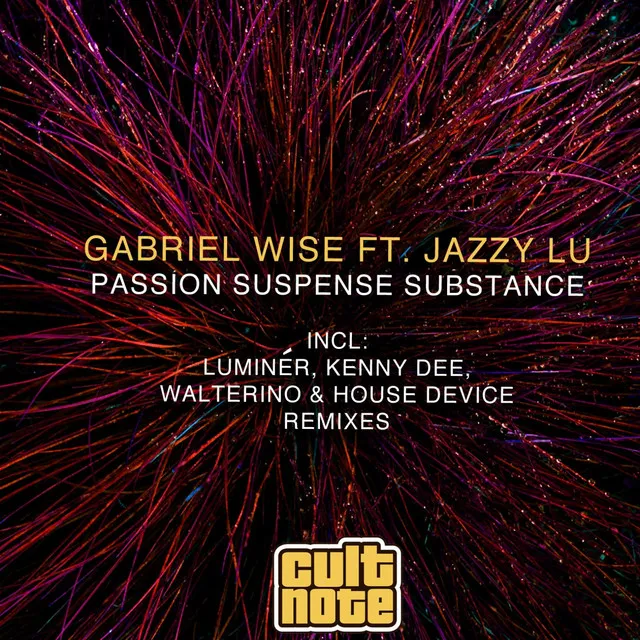 Passion Suspense Substance (feat. Jazzy Lu)