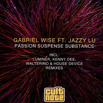 Passion Suspense Substance (feat. Jazzy Lu) by Gabriel Wise