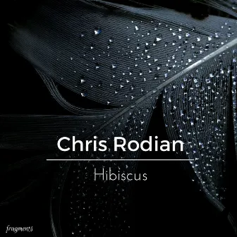 Hibiscus by Chris Rodian