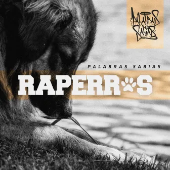 Raperros by Palabras Sabias