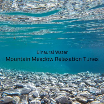 Binaural Water: Mountain Meadow Relaxation Tunes by Pure Binaural Beats Study