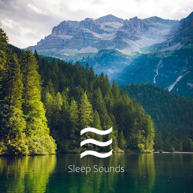 Noisy Tones of White Noise for Sleep