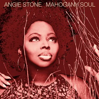 Mahogany Soul by Angie Stone