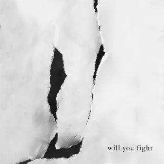 Will You Fight by Klergy