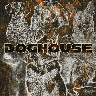 DOGHOUSE by woodgraves