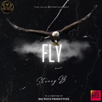 Fly by Stoney B