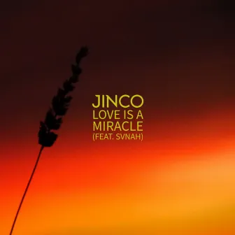 Love is a Miracle by Jinco