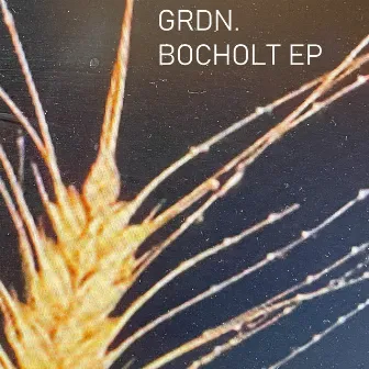 Bocholt EP by GRDN.