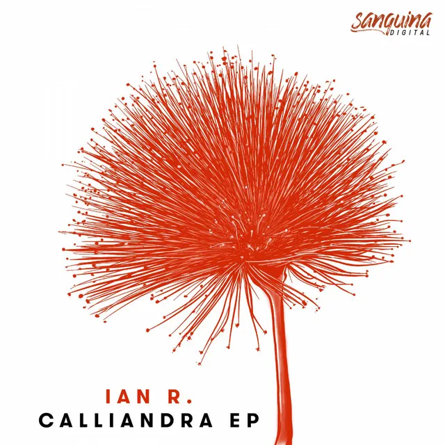 Calliandra