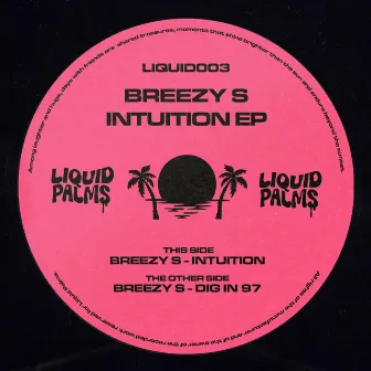 Intuition EP by Breezy S